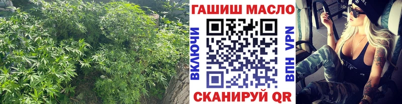 kraken вход  где купить наркоту  Серафимович  ТГК THC oil 